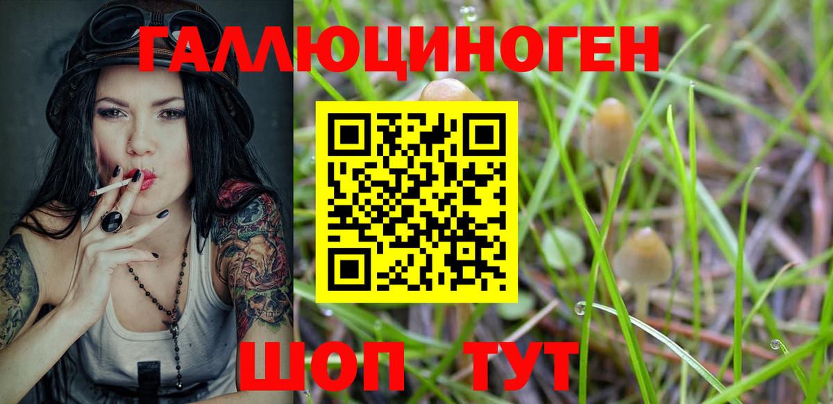 Кимовск  Галлюциногенные грибы ЛСД  Вход с VPN 